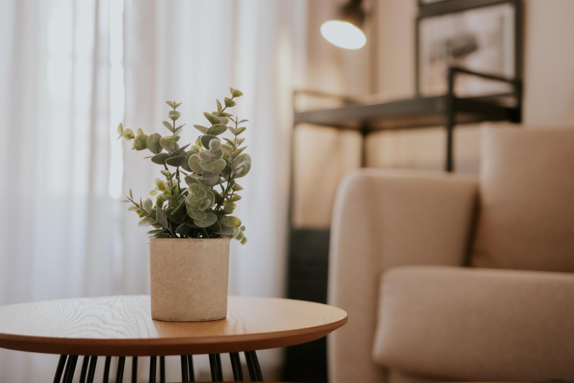 Los Biznagales Malaga Ngoại thất bức ảnh